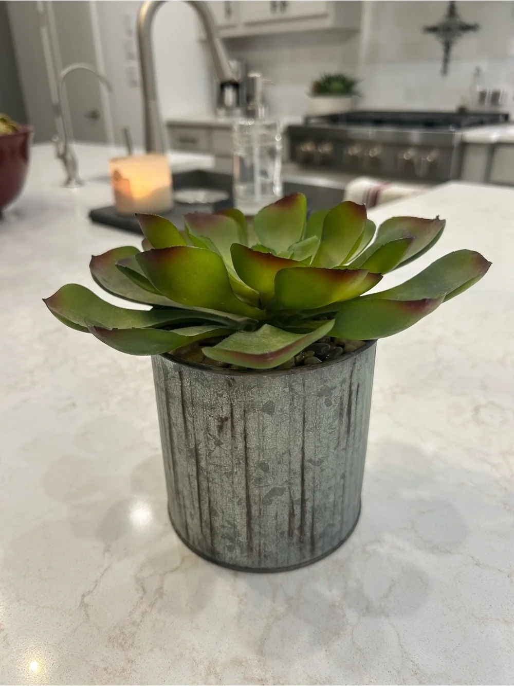 New Kirklands Green Succulent with Red-Tipped Leaves in Metal Pot